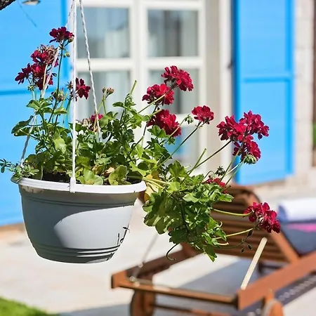 Roberta Holiday home